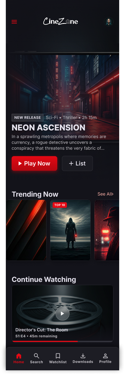 CineZone project image 2